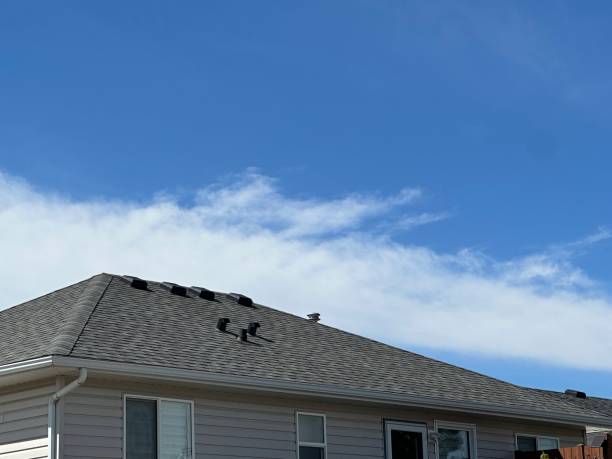 Best Cold Roofs  in Bolindale, OH